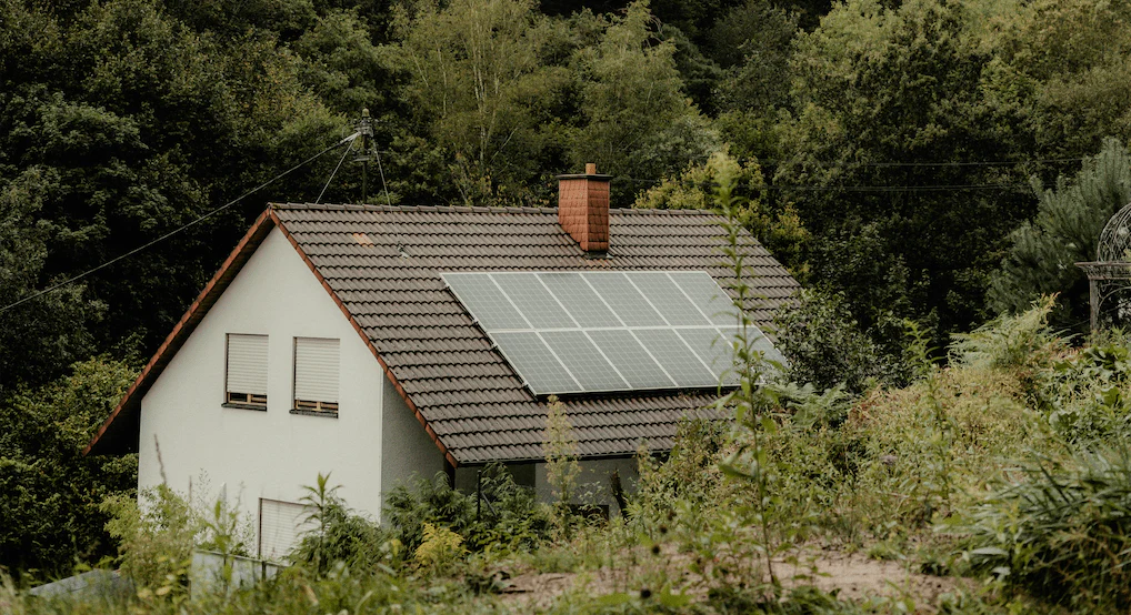 Empower Your Sustainable Lifestyle